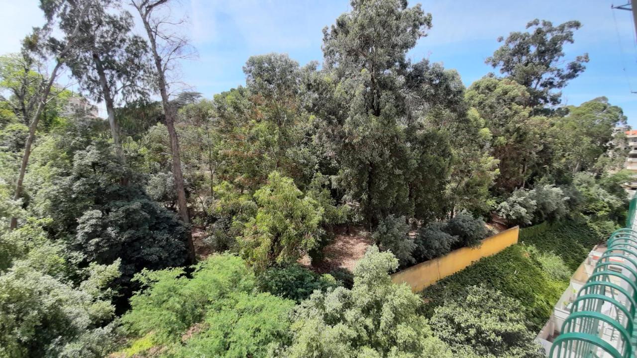 Forest View Lisabona Exterior foto