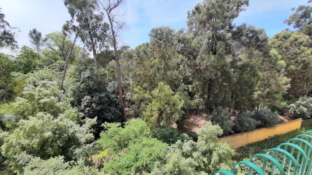 Forest View Lisabona Exterior foto